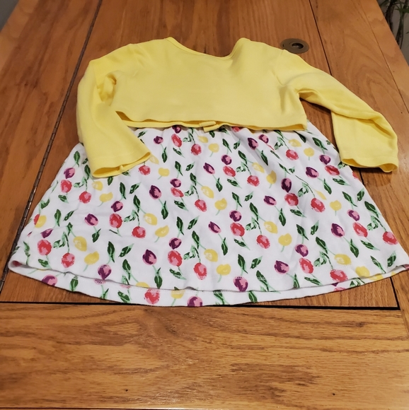 2 Piece Dress & Cardigan size 3T by Luvable Friends - Picture 11 of 12